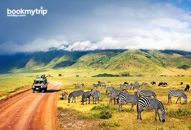 Bookmytripholidays Tanzania tour pacckages