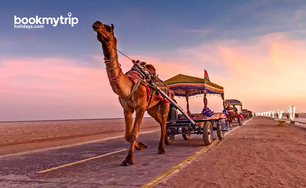 Bookmytripholidays | Vibrant Gujarat scenic exploration | Heritage tour packages