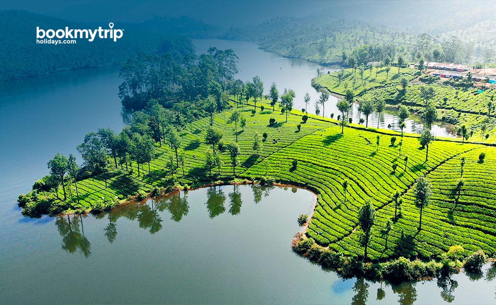 Bookmytripholidays | A Glimpse of Kerala | Nature tour packages