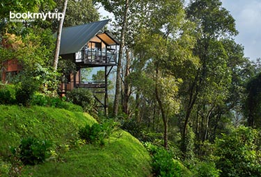 Bookmytripholidays | Bamboo Dale Resort,Munnar  | Best Accommodation packages