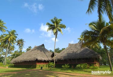 Bookmytripholidays | Marari Beach Resort,Alappuzha  | Best Accommodation packages