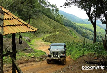 Bookmytripholidays | Nature Zone,Munnar  | Best Accommodation packages