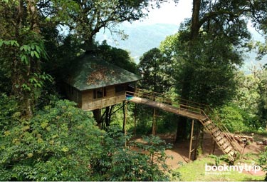 Bookmytripholidays | Nature Zone,Munnar  | Best Accommodation packages